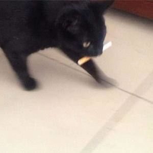 Meet your Posher, Libby